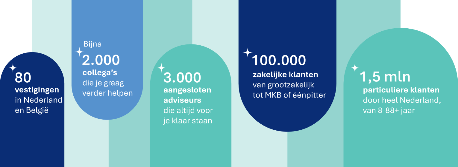 alpina group in cijfers